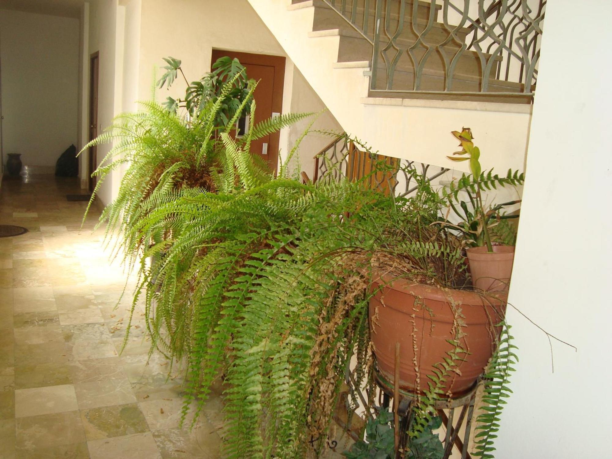 Bed and Breakfast Antonio'S House Agrigento Esterno foto